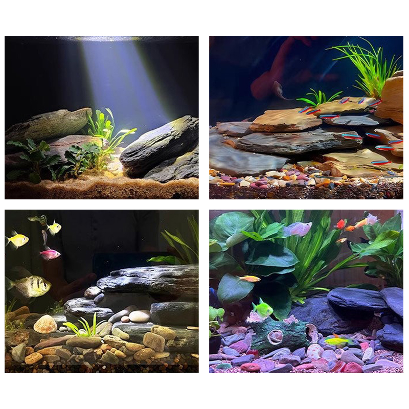 500/1000G Kit Batu Lanskap Tan - Marine Fish Tank ulasan dan harga