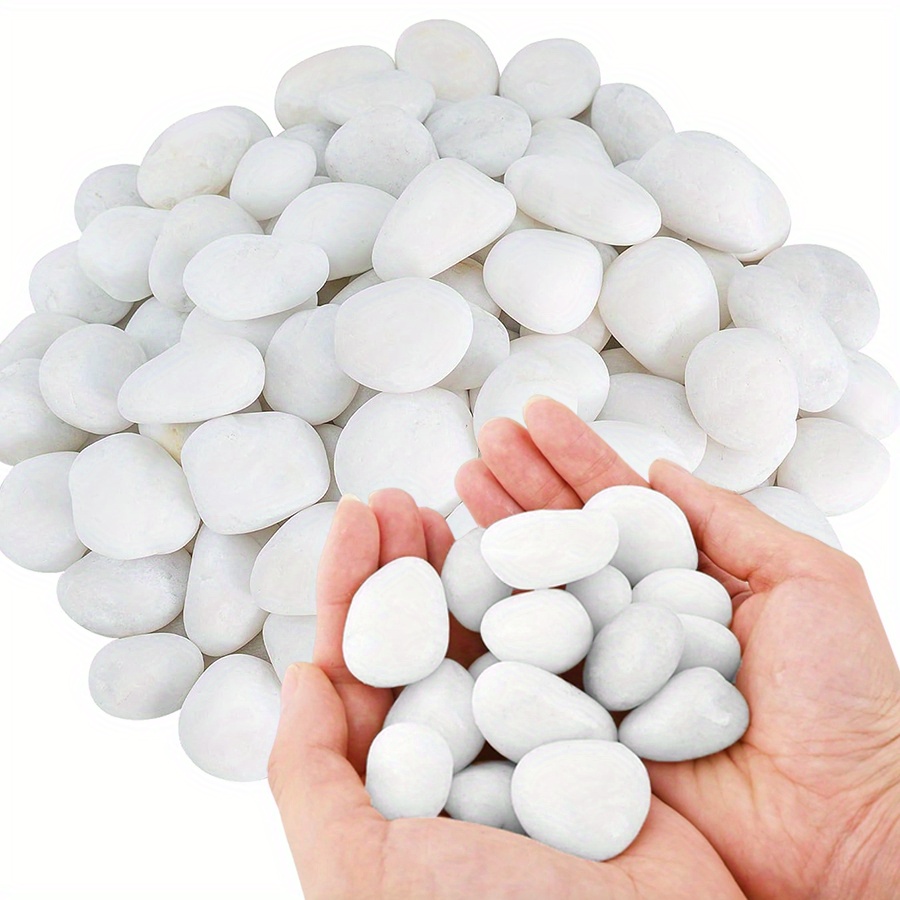 200/400g Batu Kerikil Putih Po - Marine Fish Tank ulasan dan harga