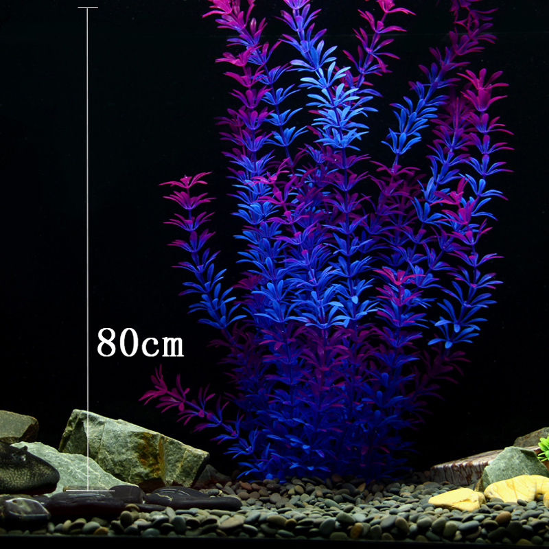 Tanaman Tropis 100cm, Rumput A - Ocean Aquarium ulasan dan harga