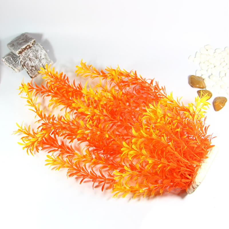 Tanaman Tropis 100cm, Rumput A - Ocean Aquarium ulasan dan harga