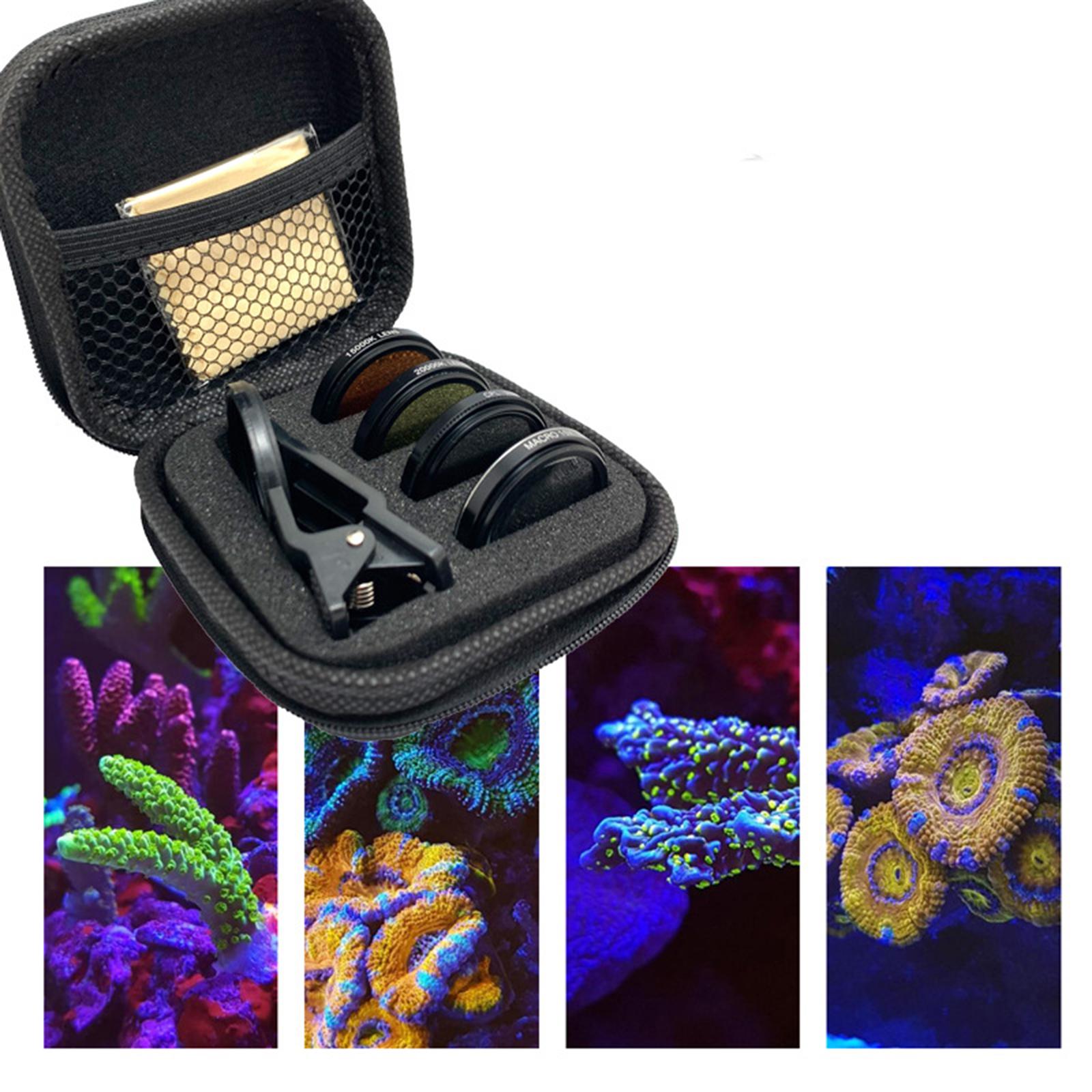 Kit Fotografi Terumbu Karang d - Marine Aquarium ulasan dan harga
