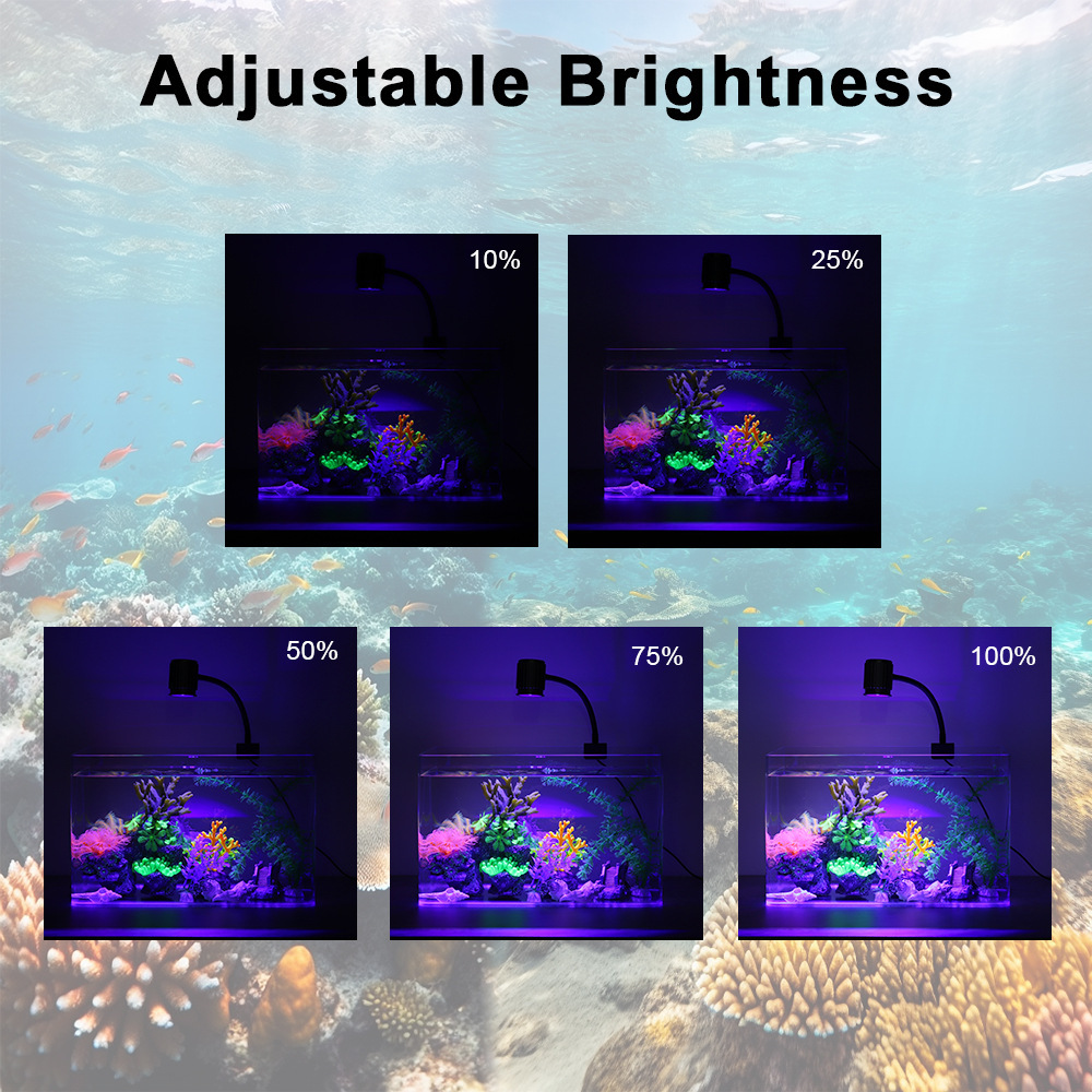 Lampu Akuarium LED Spektrum Pe - Reef Lighting ulasan dan harga