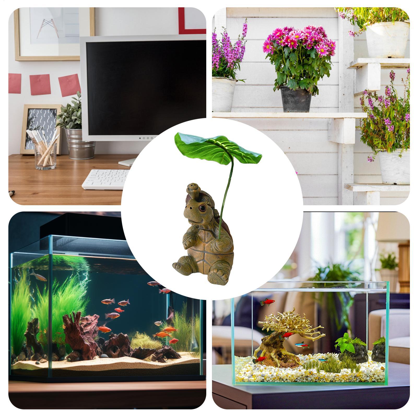 Patung Kura-kura Dekorasi Akua - Ocean Aquarium ulasan dan harga