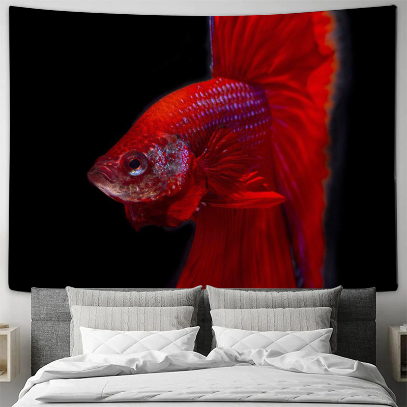 Permadani Ikan Betta Merah Cer - Ocean Aquarium ulasan dan harga