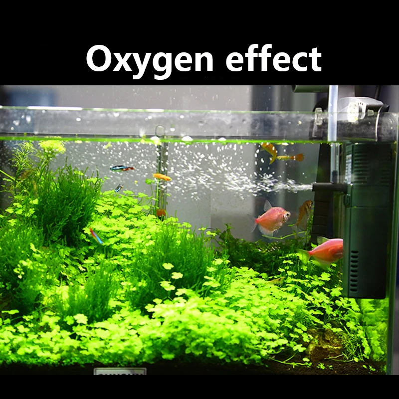 SUNSUN Mini Nano 111B 311B 611 - Reef Tank Filter ulasan dan harga