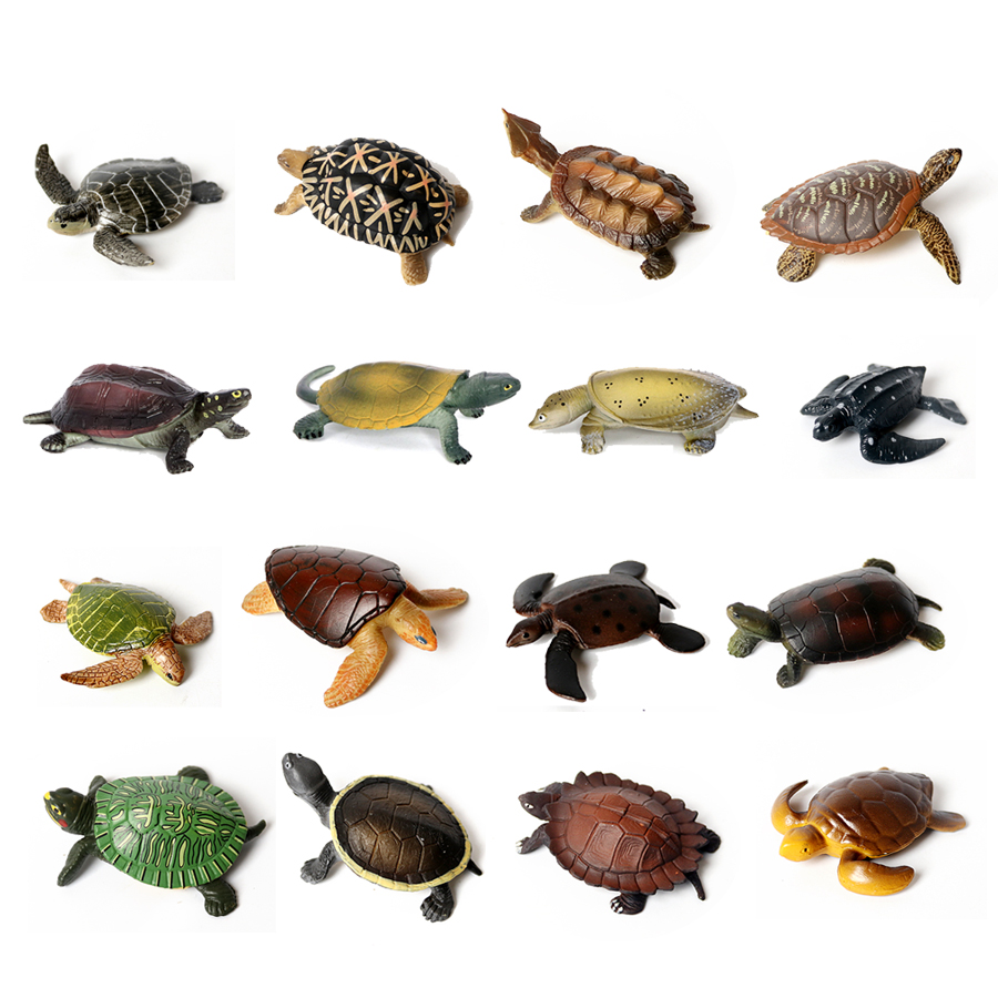 Miniatur realistis kehidupan l - Ocean Aquarium ulasan dan harga