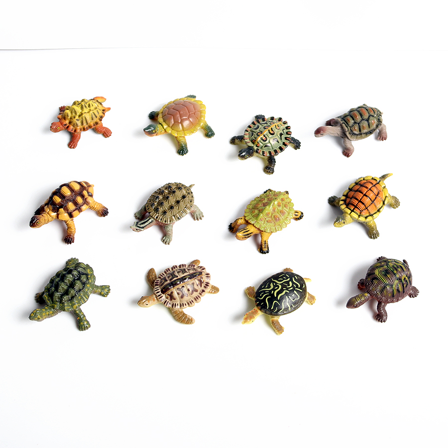 Miniatur realistis kehidupan l - Ocean Aquarium ulasan dan harga