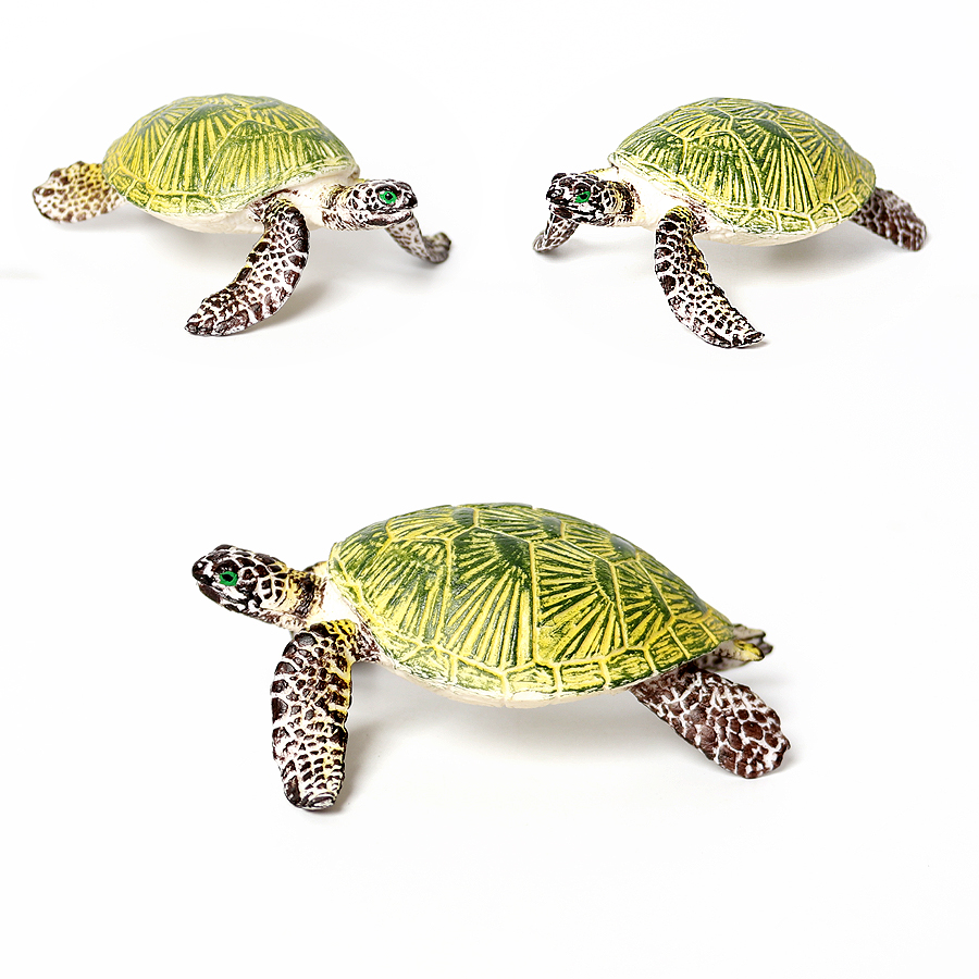 Miniatur realistis kehidupan l - Ocean Aquarium ulasan dan harga
